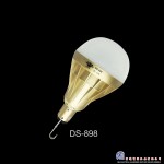  DC 5V 30W Rechargeable Bulb DS-898
