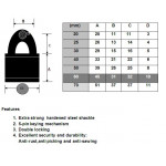 Yale Brass Padlock (60mm) V140-60