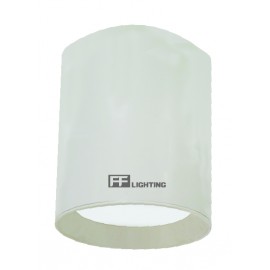 image of FF Lighting LED Lithium (LI) Surface Downlight 12W White Body Day Light/Warm White