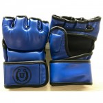 Unbeatable MMA Grappling Glove