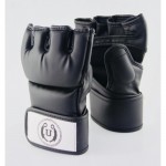 Unbeatable MMA Grappling Glove