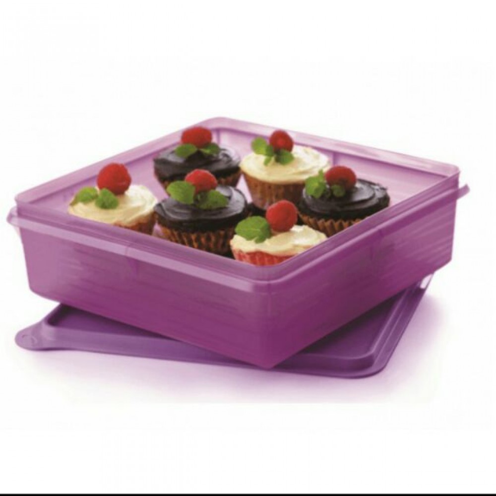 B2B Snack Stor (1) 2.9L B2B Snack Stor (1) 2.9L