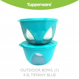 image of Tupperware Outdoor Bowl (1) 4.Ll Tiffany Blue