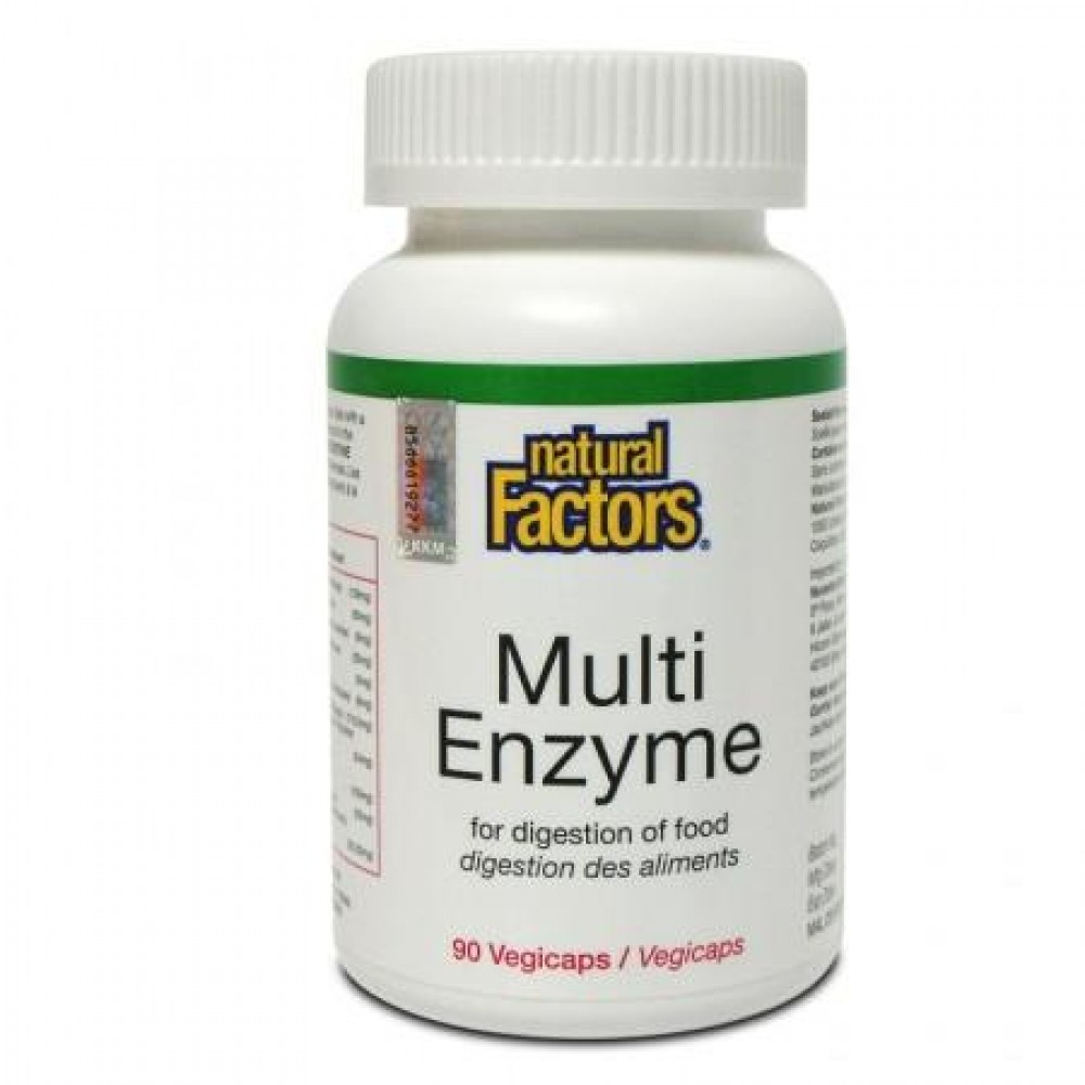 NATURAL FACTORS MULTI ENZYME 90S NATURAL FACTORS MULTI ENZYME 90S
