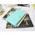 Pony Passport holder case passport cover colourful/Plain/Simple/Candy color