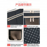 Oxford Clothes Storage Box with Stainless Steel Frame Work