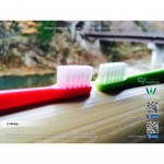 Ci Middy Toothbrush