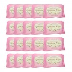 Inabella Fermini Wipes 20's 20 packs [Bundle]