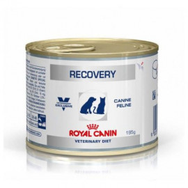 image of Royal Canin Recovery Canned Food For Cats & Dogs 156g X 6 Canned
