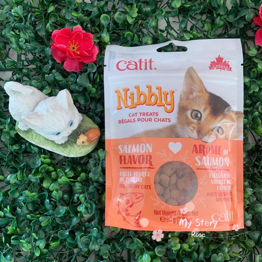 Catit Nibbly Treats Salmon 90g / For Training Catit Nibbly Treats Salmon 90g / For Training