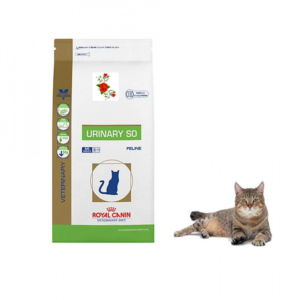 Royal Canin Veterinary Diet Urinary So Dry Cat Food