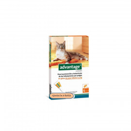 image of BAYER ADVANTAGE CAT SPOT ON 1-4 Kg ( Advantage Petcare) 4 Tubes