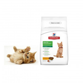 image of Ready Stock ~Hill's® Science Diet® Kitten Healthy Development Dry Food 4 KG