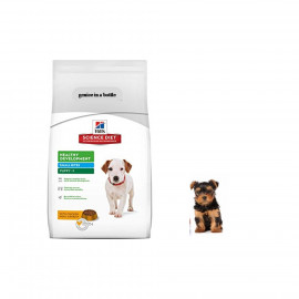image of REPACK~Hill's® Science Diet® Puppy Healthy Development 1 KG (Lamb)