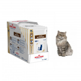 image of Ready Stock ~12x Royal Canin Gastro Intestinal Feline 100G For Cats ( FREE GIFT)