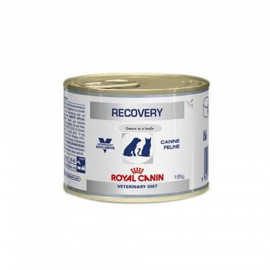 image of Royal Canin Recovery Canine & Feline / Wet Food For Cats & Dogs 195 G