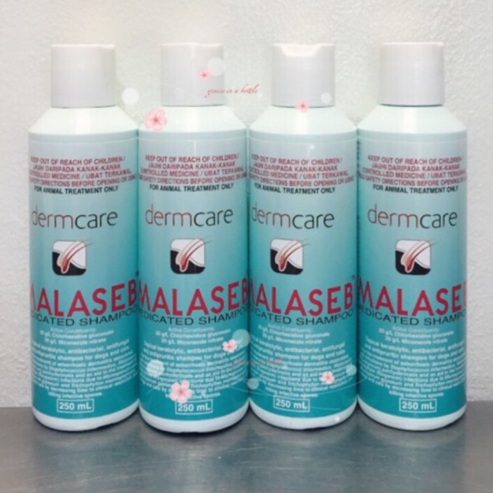 Malaseb Medicated Shampoo For Dogs & Cats 250 Ml / Bottle ( 100% Authentic) Malaseb Medicated Shampoo For Dogs & Cats 250 Ml / Bottle ( 100% Authentic)