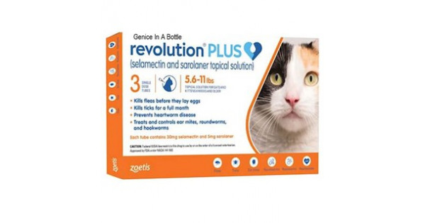 revolution plus cat orange
