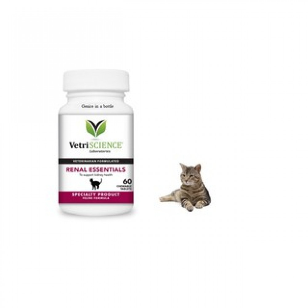 Renal Essentials 60 tablets for cats ~ VetriScience Renal Essentials 60 tablets for cats ~ VetriScience