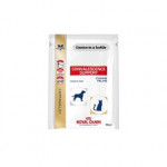Royal Canin Convalescence Support Instant 50G/POUCH ( Ready Stock)