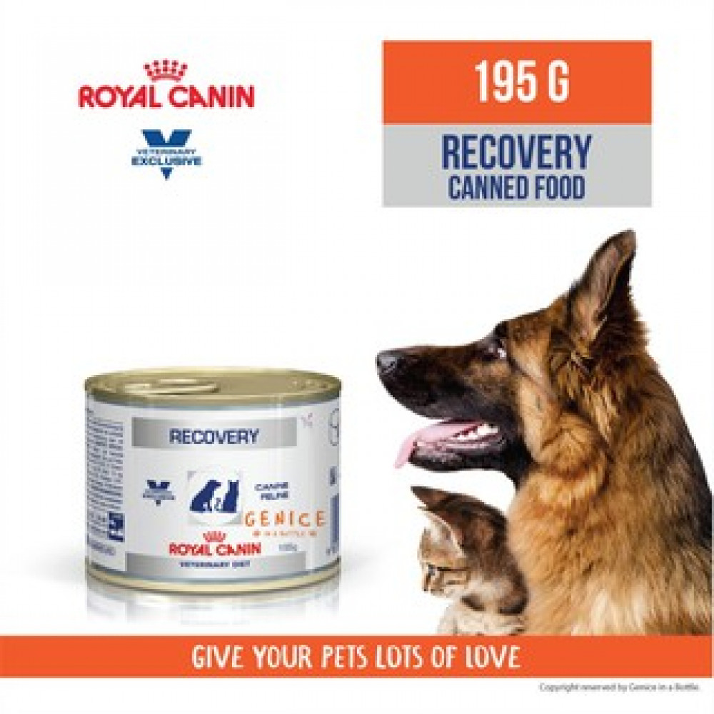 Royal Canin Veterinary Recovery Dog & Cat Mousse (12 x 195 g