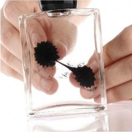 image of MAGNETIC LIQUID DISPLAY FERROFLUID IN BOTTLE AMAZING LIQUID REACTS TO MAGNET EDUCATIONAL TOY (BLACK) -