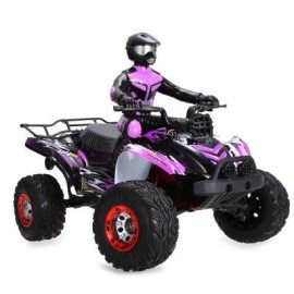 image of FEIYUE FY - 04 1 : 12 FULL SCALE 4WD 2.4G 4 CHANNEL HIGH SPEED CROSSING CAR OFF ROAD RACER (PURPLE) -