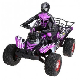image of FY - 04 1 : 12 FULL SCALE 4WD 2.4G 4 CHANNEL HIGH SPEED CROSSING CAR OFF ROAD RACER 43.00 x 25.00 x 29.00 cm