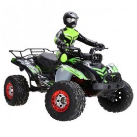image of FEIYUE FY - 04 1 / 12 FULL SCALE 4WD 2.4G 4 CHANNEL HIGH SPEED CROSSING CAR OFF ROAD RACER (GREEN) -