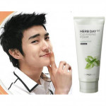 The Face Shop Herb Day 365 Cleansing Foam 170ml # Spearmint For Men