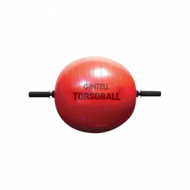 image of GINTELL Torsoball Total Body Training System
