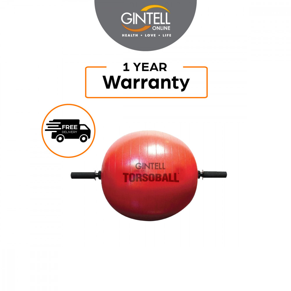 GINTELL Torsoball Total Body Training System GINTELL Torsoball Total Body Training System