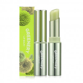 image of 韓國 Nature Republic 春綠系列潤唇膏 3.3g #.04 Green Korea Nature Republic Greenery Lip Balm 3.3g #.04 Green