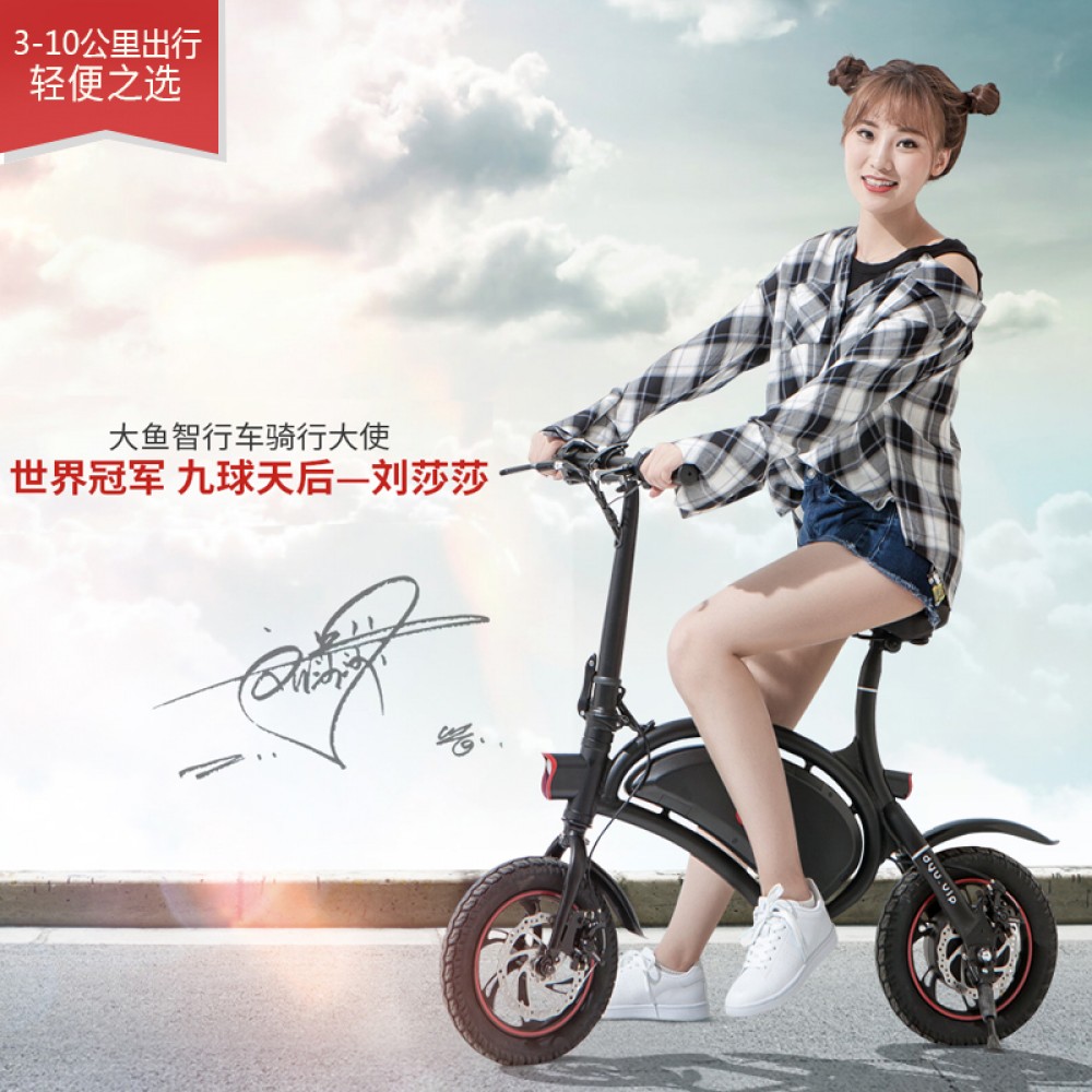 DYU Electric Smart Bicycle DYU Electric Smart Bicycle
