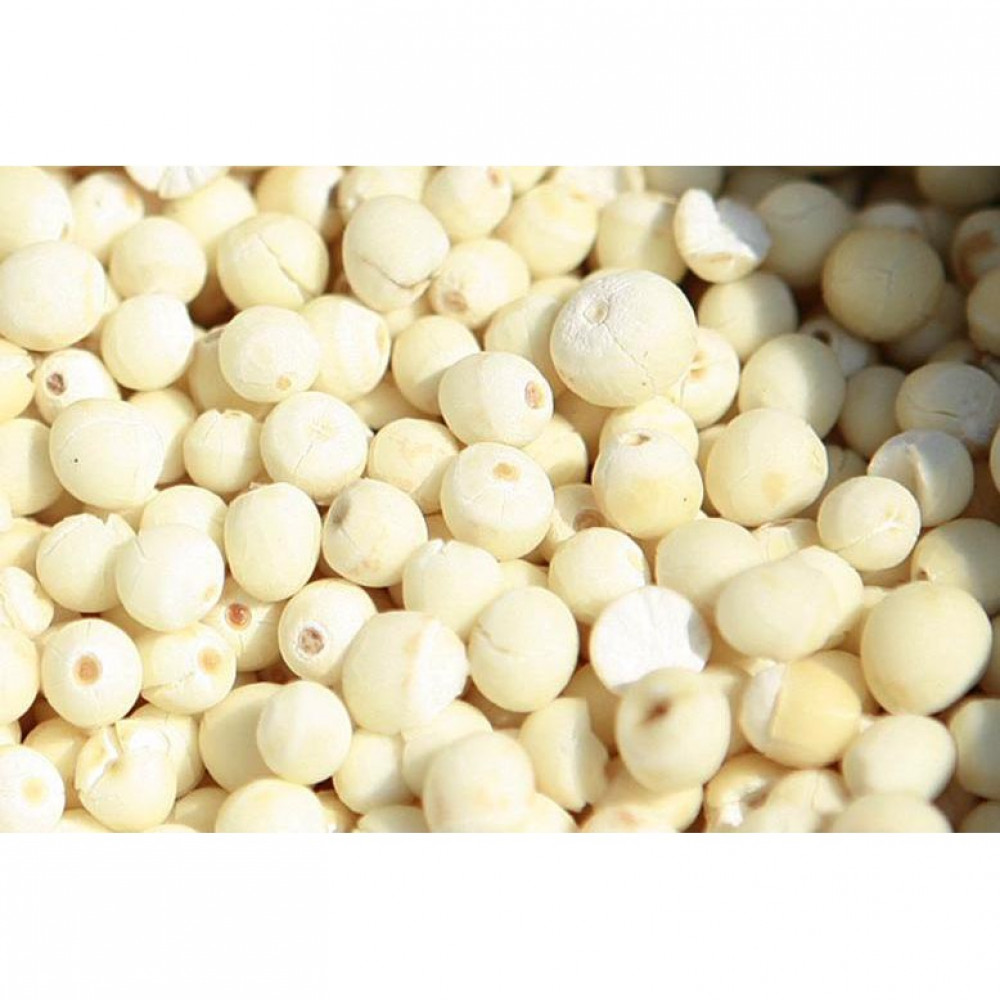 Semen Euryales 芡实 50g Semen Euryales 芡实 50g