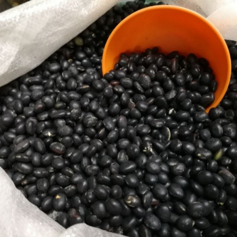 Black Bean 黑豆 Black Bean 黑豆