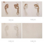 珪藻超强吸水力地垫 60cm*39cm*0.9cm