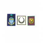 PANDU PUTERI STATE BADGE