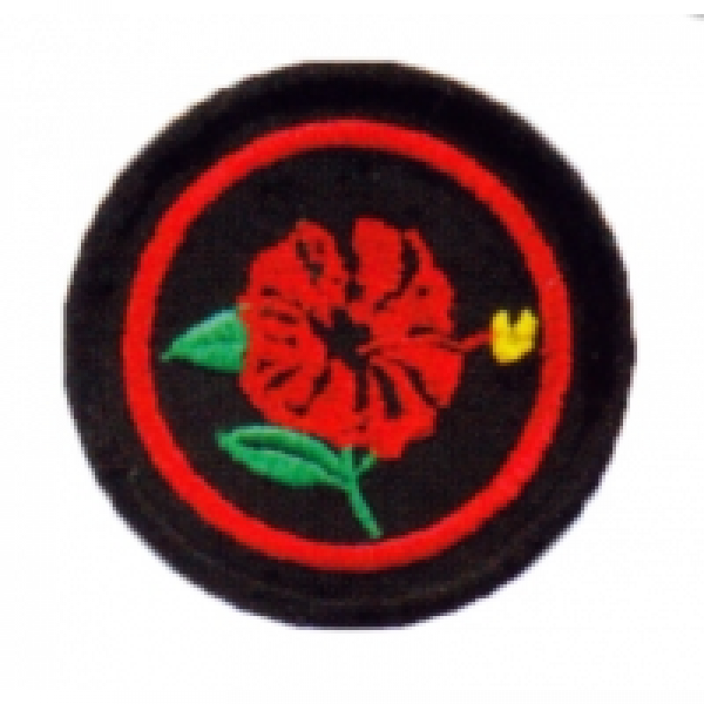PANDU PUTERI PATROL BADGE PANDU PUTERI PATROL BADGE