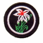 PANDU PUTERI PATROL BADGE