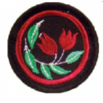 PANDU PUTERI PATROL BADGE