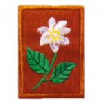 TUNAS PUTERI PATROL BADGE 