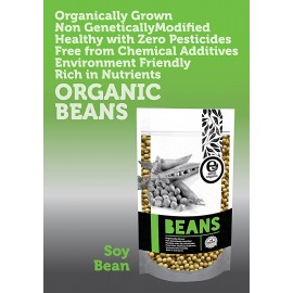 image of Earth Living Organic Soy Bean 有机黄大豆 500g (BUY 4 FREE 1)